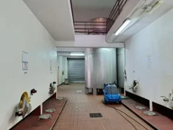 #24291 Stabilimento cantina costituito da fabbricato e attrezzature