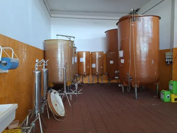 #24291 Stabilimento cantina costituito da fabbricato e attrezzature