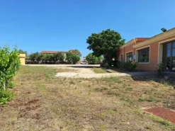 #24291 Stabilimento cantina costituito da fabbricato e attrezzature