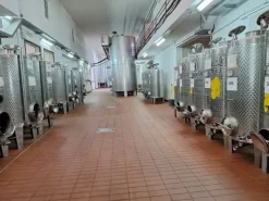 #24291 Stabilimento cantina costituito da fabbricato e attrezzature