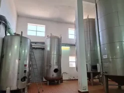 #24291 Stabilimento cantina costituito da fabbricato e attrezzature