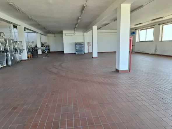 #24291 Stabilimento cantina costituito da fabbricato e attrezzature