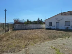 #24291 Stabilimento cantina costituito da fabbricato e attrezzature
