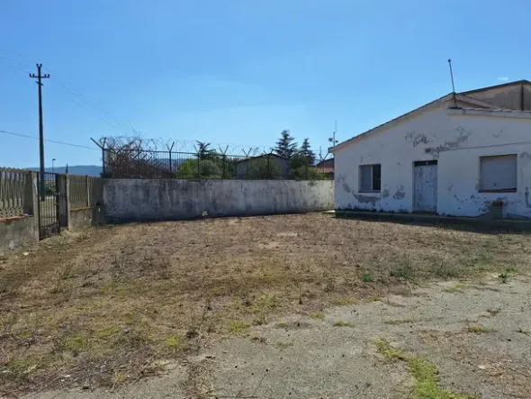 #24291 Stabilimento cantina costituito da fabbricato e attrezzature
