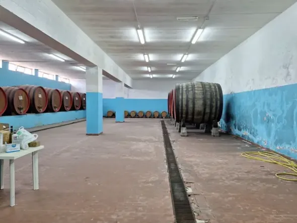 #24291 Stabilimento cantina costituito da fabbricato e attrezzature