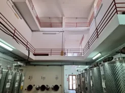 #24291 Stabilimento cantina costituito da fabbricato e attrezzature