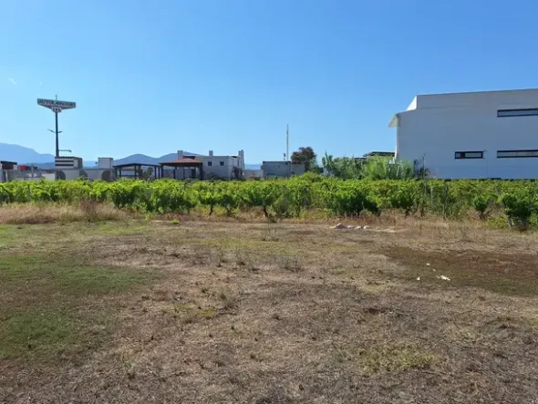 #24291 Stabilimento cantina costituito da fabbricato e attrezzature