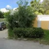 #20832 Stabilimento industriale con corte privata e terreno di proprietà