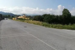 #20832 Stabilimento industriale con corte privata e terreno di proprietà