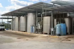#25632 Stabilimento produttivo con pertinenze e terreni