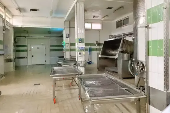 #25632 Stabilimento produttivo con pertinenze e terreni