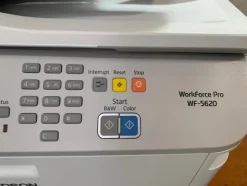 4#5293 Stampanti Lexmark e Epson