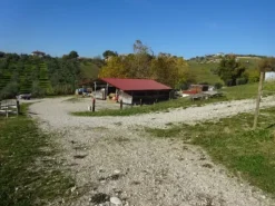 #3306 Struttura turistico rurale a Notaresco