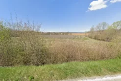#22764 Terreni agricoli