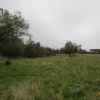 #12960 Terreni agricoli