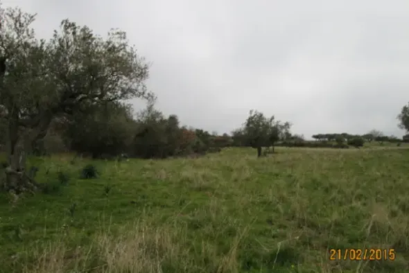 #12960 Terreni agricoli