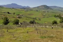 #12960 Terreni agricoli