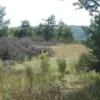 #21219 Terreni agricoli