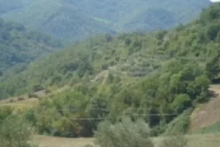 #21219 Terreni agricoli
