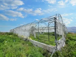 #19821 Terreni agricoli con capannoni e serre