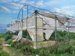 #19821 Terreni agricoli con capannoni e serre