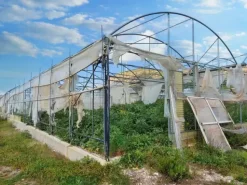 #19821 Terreni agricoli con capannoni e serre