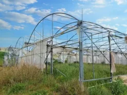 #19821 Terreni agricoli con capannoni e serre