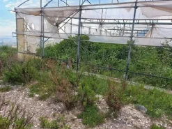 #19821 Terreni agricoli con capannoni e serre