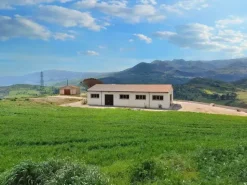 #19821 Terreni agricoli con capannoni e serre