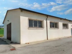 #19821 Terreni agricoli con capannoni e serre