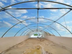 #19821 Terreni agricoli con capannoni e serre