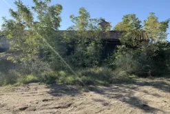 #19968 Terreni agricoli con casa colonica e annesso da ristrutturare