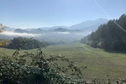 #19968 Terreni agricoli con casa colonica e annesso da ristrutturare