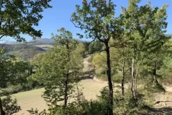 #19968 Terreni agricoli con casa colonica e annesso da ristrutturare