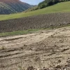 #19969 Terreni agricoli con fabbricati rurali da ristrutturare