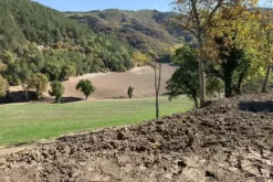 #19969 Terreni agricoli con fabbricati rurali da ristrutturare