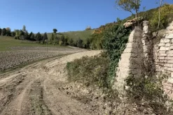 #19969 Terreni agricoli con fabbricati rurali da ristrutturare