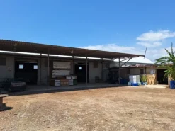 #23566 Terreni agricoli con serre e fabbricati rurali a Vittoria