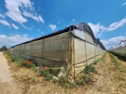 #23566 Terreni agricoli con serre e fabbricati rurali a Vittoria