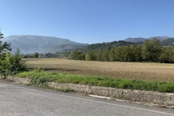 #19966 Terreni agricoli di 183506 mq