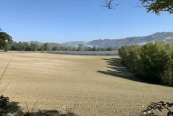 #2638285 Terreni agricoli di 107948 mq