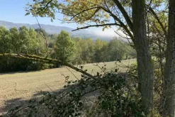 #2638285 Terreni agricoli di 107948 mq
