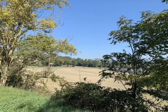 #2638284 Terreni agricoli di 75558 mq