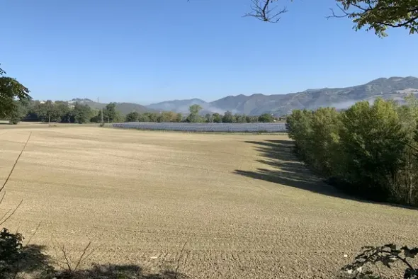 #2638284 Terreni agricoli di 75558 mq