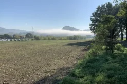 #2638284 Terreni agricoli di 75558 mq