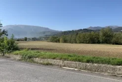 #2638284 Terreni agricoli di 75558 mq