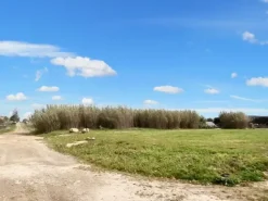 #23581 Terreni agricoli di 20004 mq