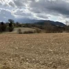 #19972 Terreni agricoli in parte edificabili di 101296 mq