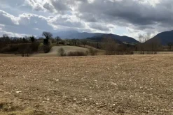 #19972 Terreni agricoli in parte edificabili di 101296 mq