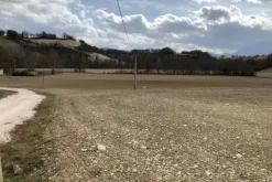 #19972 Terreni agricoli in parte edificabili di 101296 mq